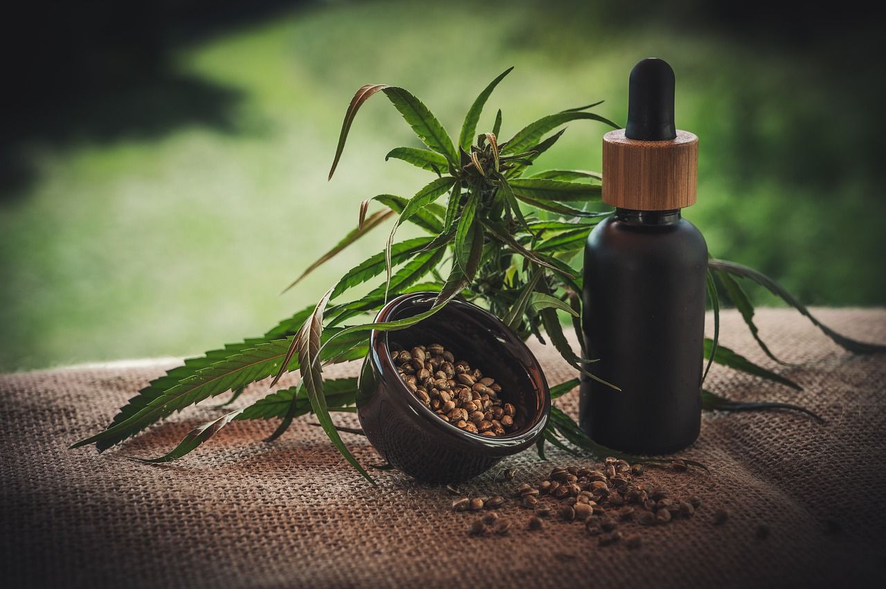Feminizowane nasiona marihuany – co to znaczy?